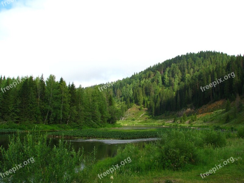 Forest Mountain Nature Summer Landscape