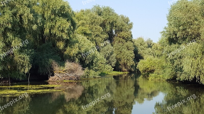 Delta Romania Danube Nature Vegetation