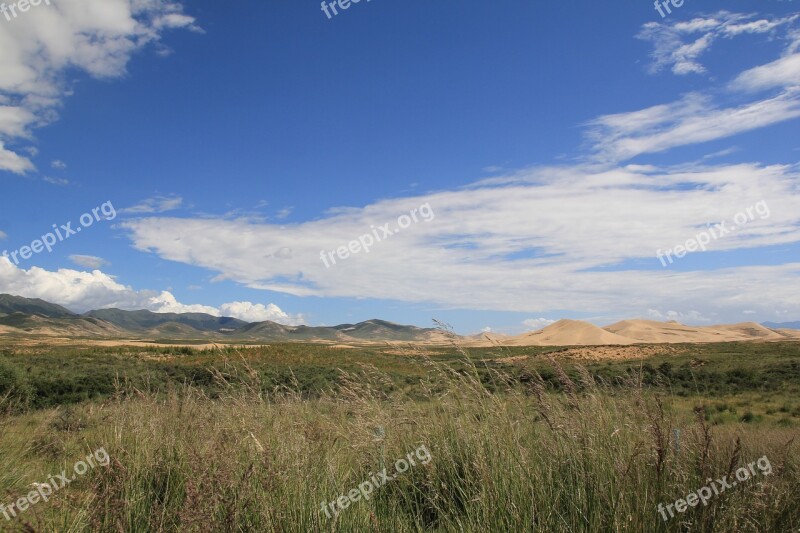 Qinghai Lake Desert Oasis Free Photos