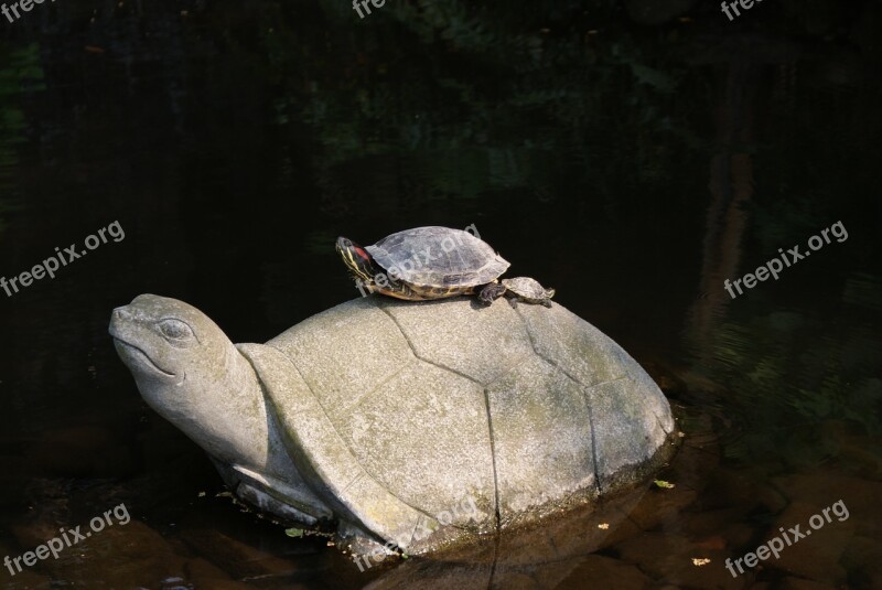 Turtle Statue Creatures Pond Parent Child