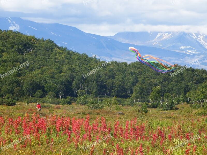 Forest Mountains Tundra Autumn Fireweed