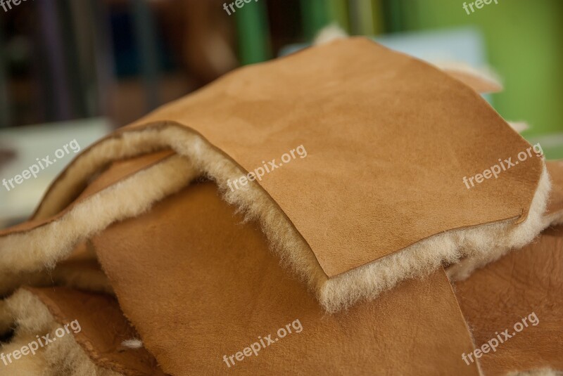 Skins Sheep Tanning Leather Free Photos