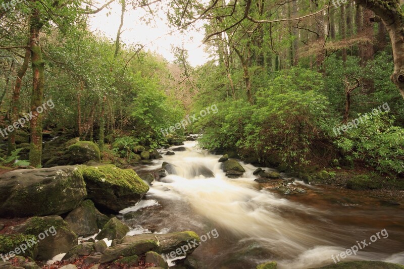 Killarney Water Kerry Nature Free Photos