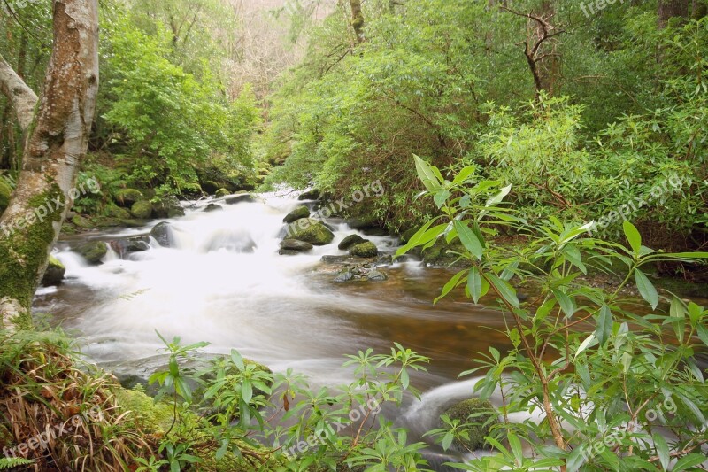 Killarney Water Kerry Nature Free Photos