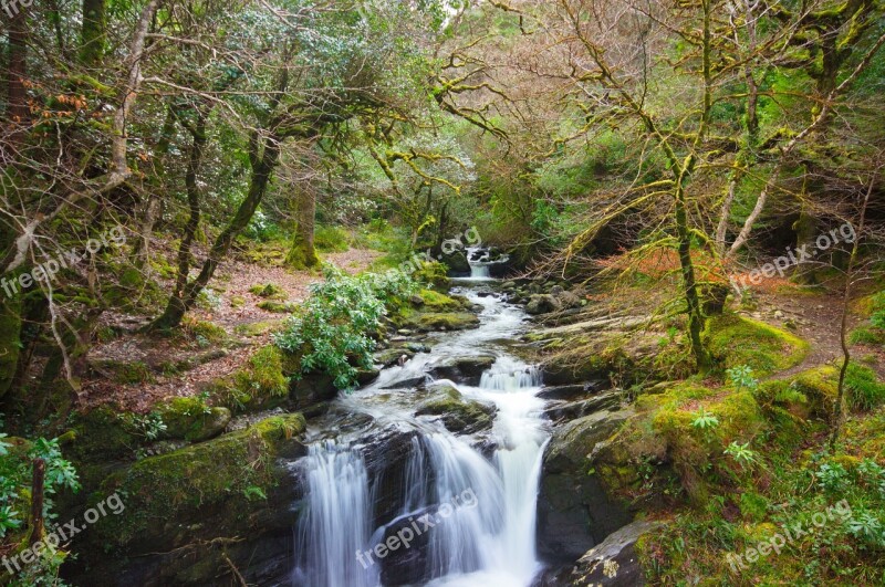 Killarney Water Kerry Nature Free Photos