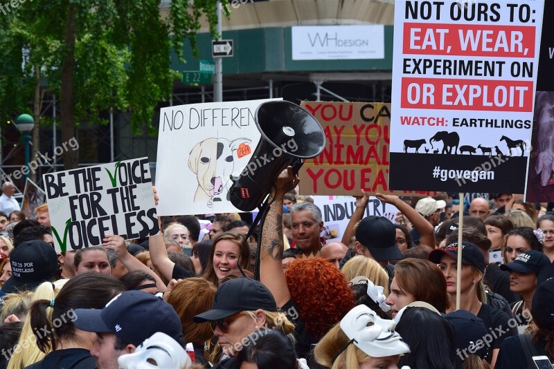 Rally March Protest Signs Animal Rights