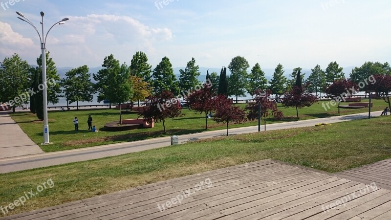 Nature Trees Seaside Park Landscape Panoramic View