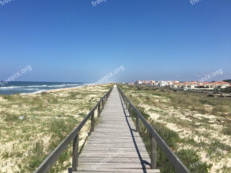 Boardwalk Portugal Coastal Path Pilgrimage Free Photos