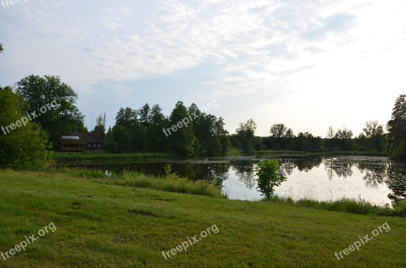 Pond Meadow Białowieża Green Nature