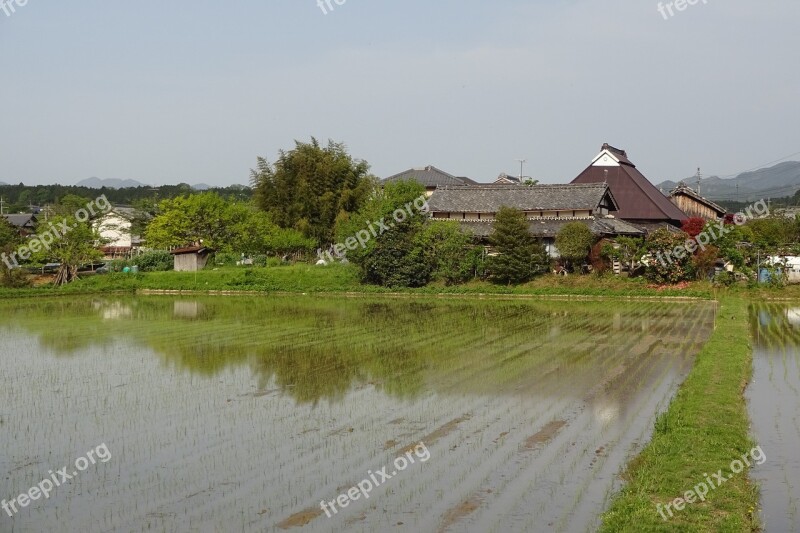 Early Summer Landscape Countryside Paddy Field Koka City Shiga Prefecture