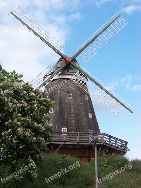 Windmill Müritz Mecklenburg Free Photos