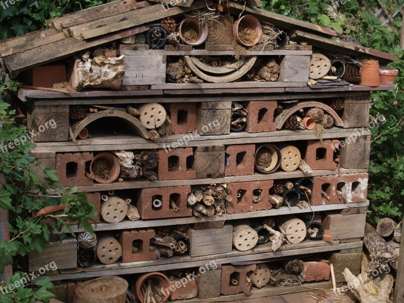 Bug Hotel Garden Rubbish Free Photos