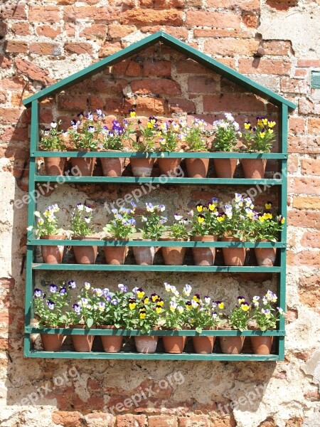 Flowers Garden Shelves Ornament Free Photos