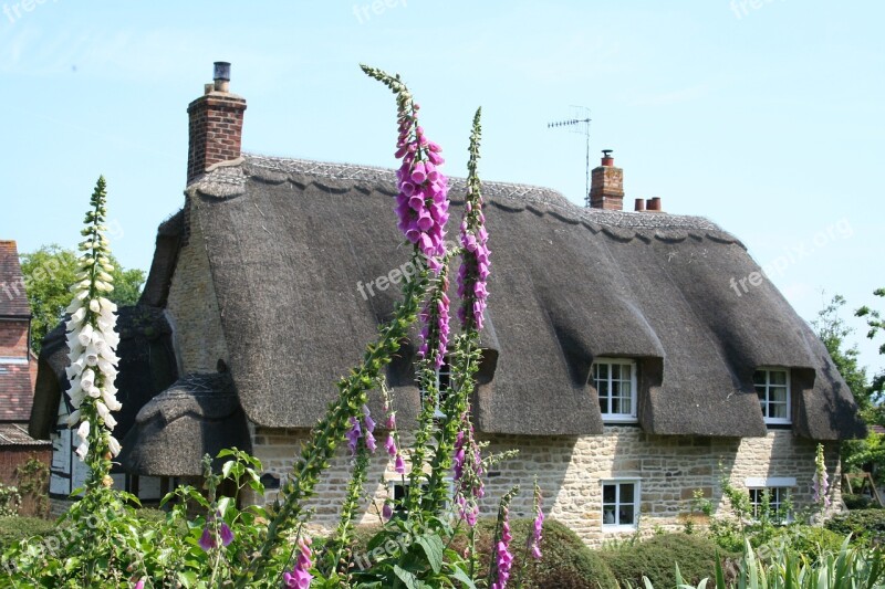 Cottage Thatch House Free Photos