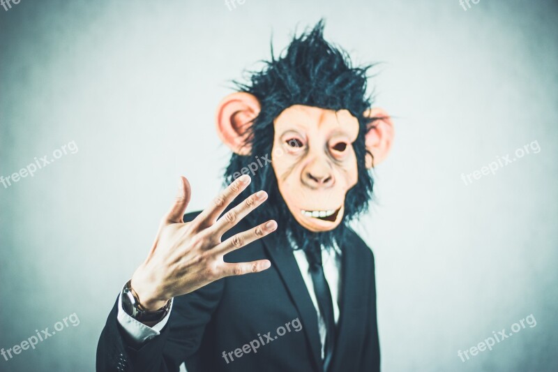 Monkey Application Training Business Portrait