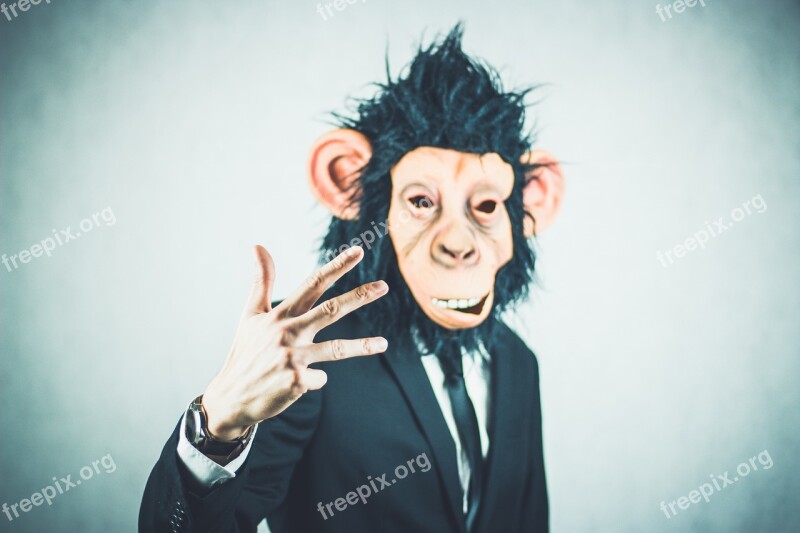 Monkey Application Training Business Portrait