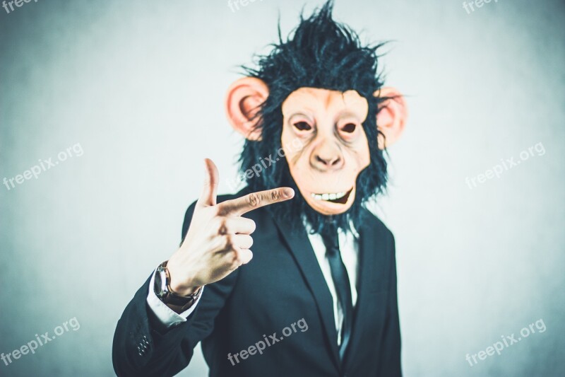 Monkey Application Training Business Portrait