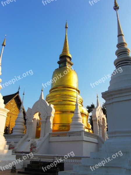 Thailand Temple Buddha Gold Chiang Mai