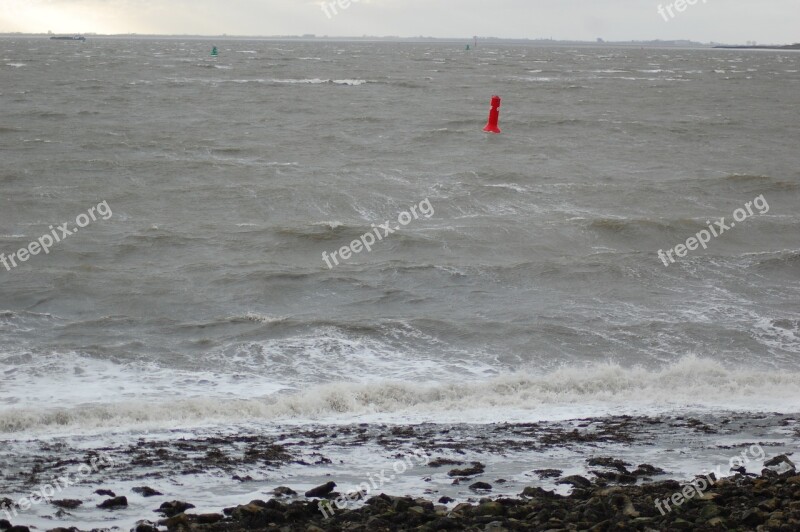 Storm Waves Westerschelde Ferocious Water