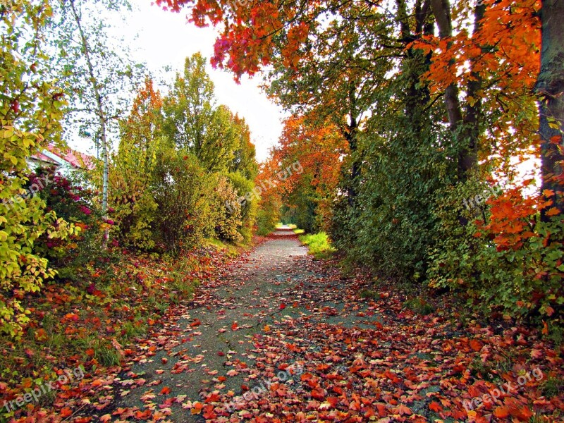 Autumn Foliage Red Colors Bridge