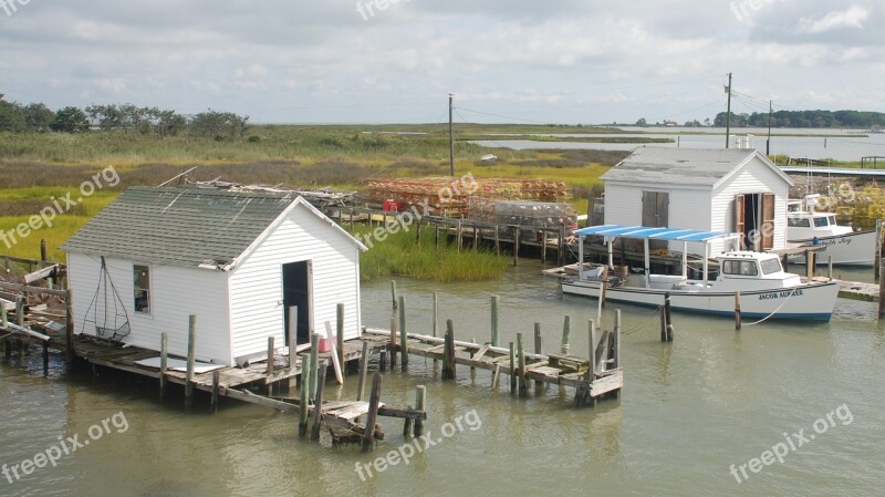 Tangier Island Va Chesapeake Bay Crab Free Photos