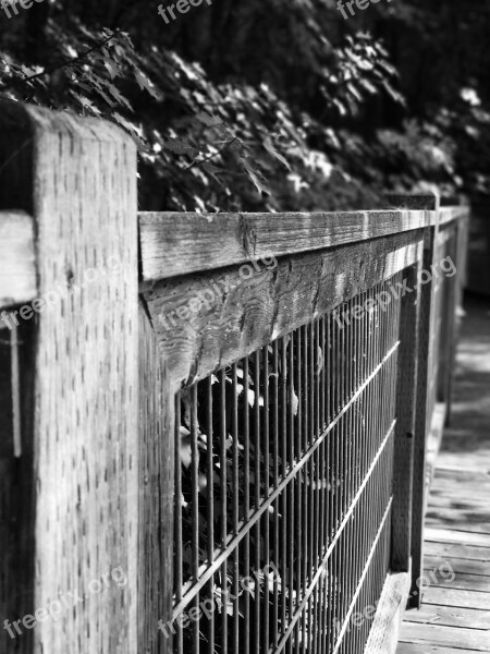 Ramp Barrier Bridge Wood Passage