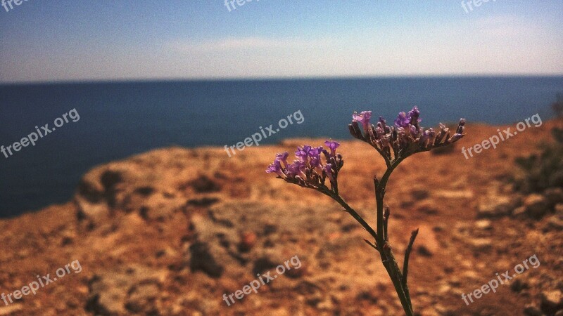 Russia Crimea Black Sea Sea Summer