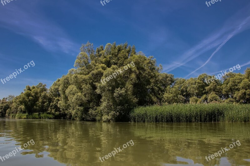 Danube Slovakia Nature River Bratislava