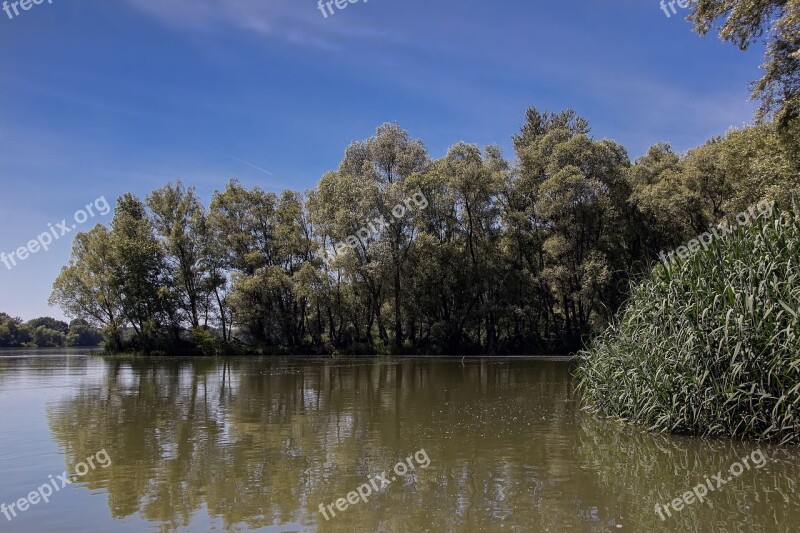 Danube Slovakia Nature River Bratislava