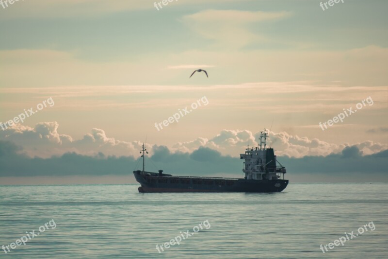 Sea Ship Seagull Clouds Sea Port