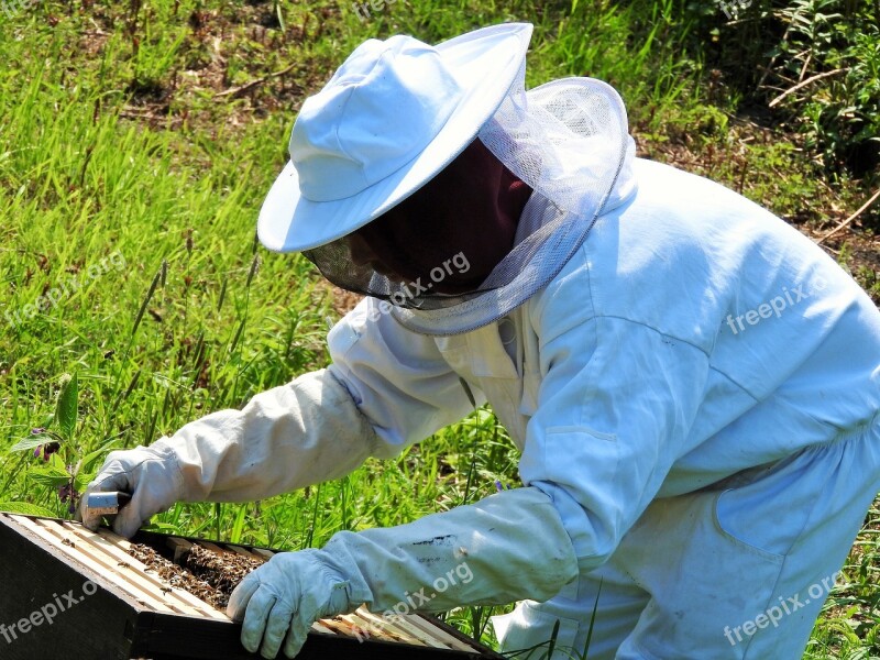 Beekeeper Apiarist Beehive Honey Hive