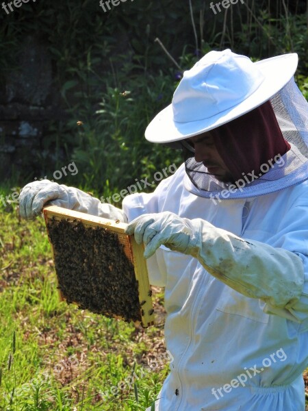 Beekeeper Apiarist Beehive Honey Hive