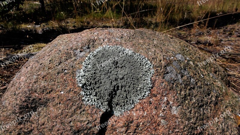 Stone Rosette Lichen Structure District