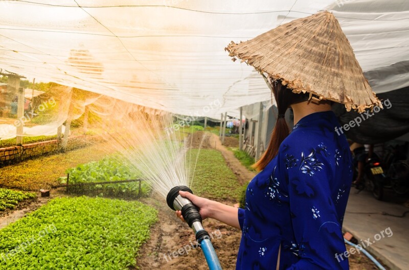 Agriculture Care Tree Plant Watering