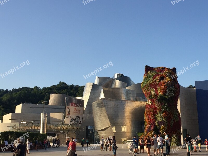 Guggenheim Bilbao Museum Vizcaya Guggenheim Museum