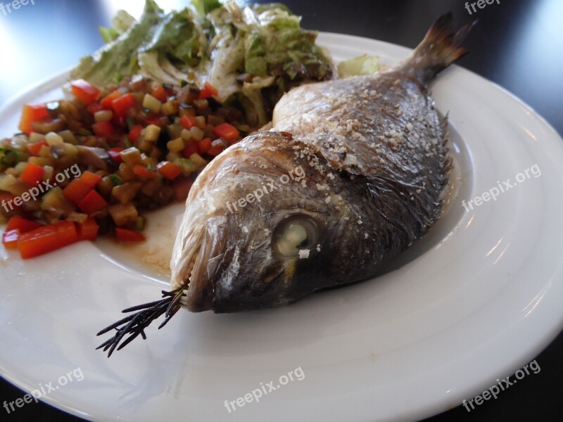 Sea Bream Vegetables Grilled Free Photos