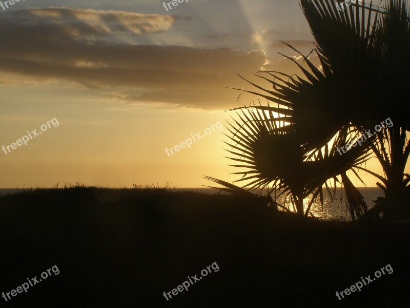 Silhouette Sun Summer Sunset Sky