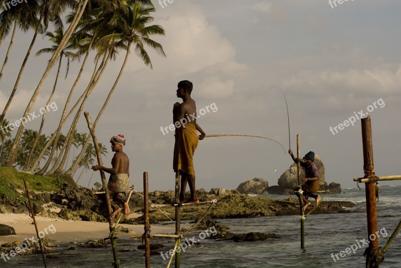 Stick Fishermen Sri Lanka Fishing Ocean Stick