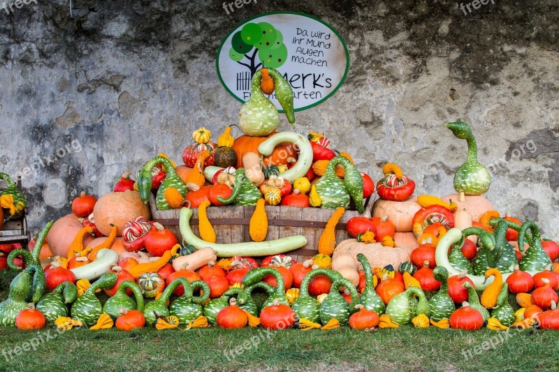 Pumpkin Pumpkins Pumpkin Art Autumn Orange