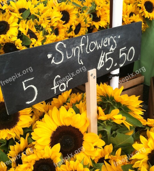 Farmers Market Sunflowers Summer Market Free Photos