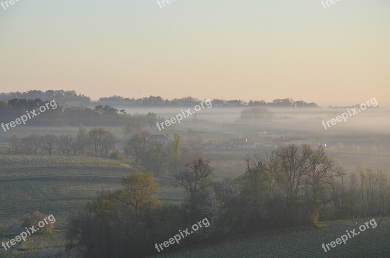 Bordeaux Vineyard Nature Mist Vines