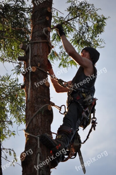 Tree Climber Chainsaw Man Free Photos