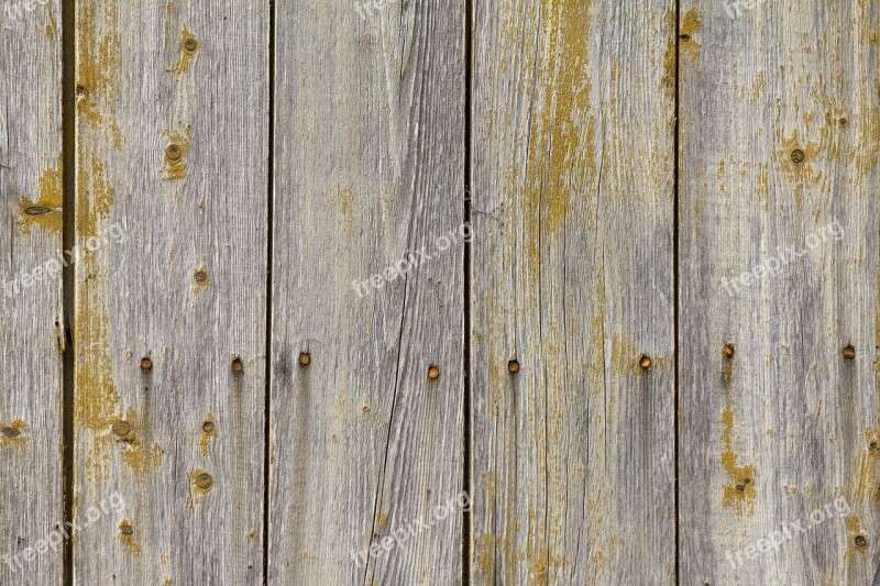 Texture Tree Old Fence Wood Texture