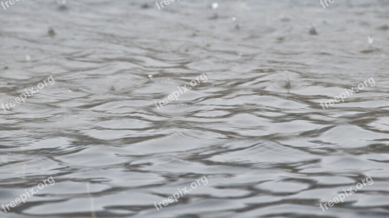 Raindrops The Water Tapping Free Photos