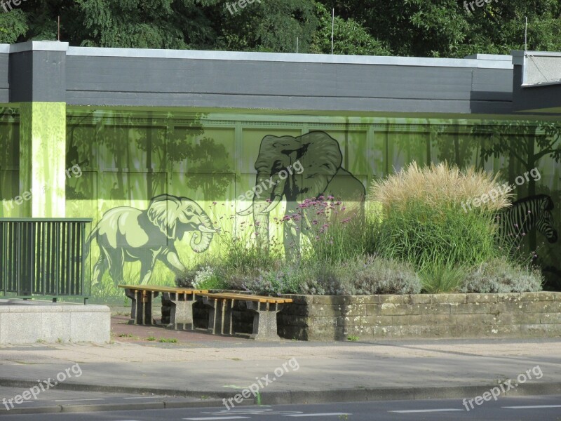 Berlin Zoo Elephant Benches Shrubs