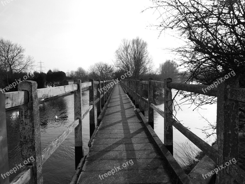 Bridge Wood Landscape Wooden Nature