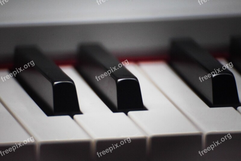 Keyboard Piano Music Instruments Keys