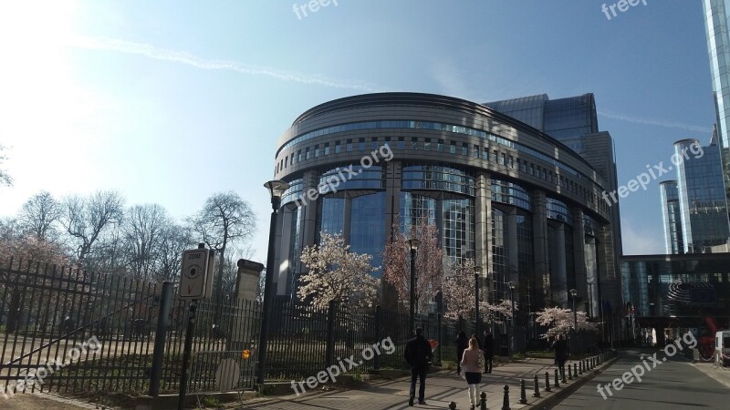 European Parliament Parliament Brussels Free Photos