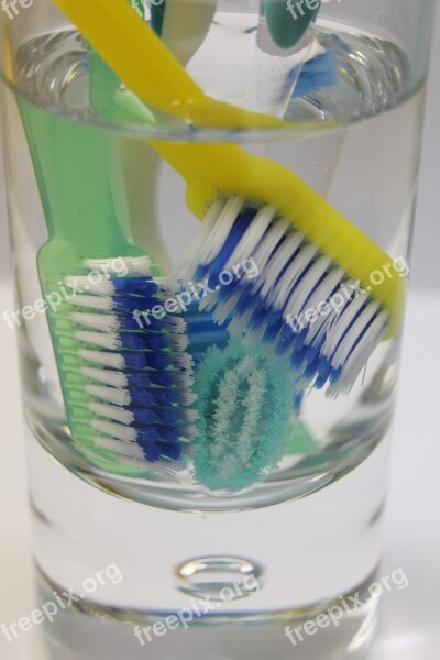 Toothbrush Oral Dental Glass Water