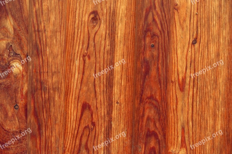 Wood Background Texture Surface Structure